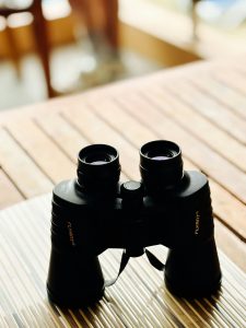 pexels haselann 35569131